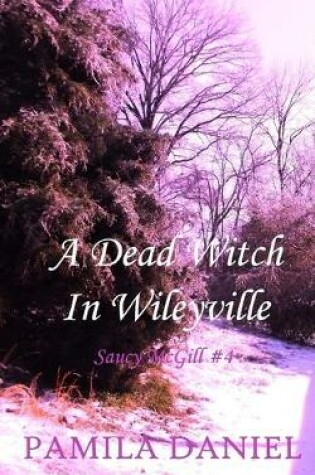 Cover of A Dead Witch in Wileyville