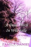 Book cover for A Dead Witch in Wileyville