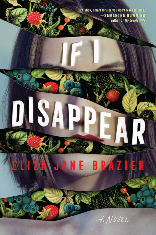 Book cover for If I Disappear