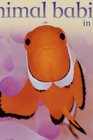 Cover of Animal Babies in Seas