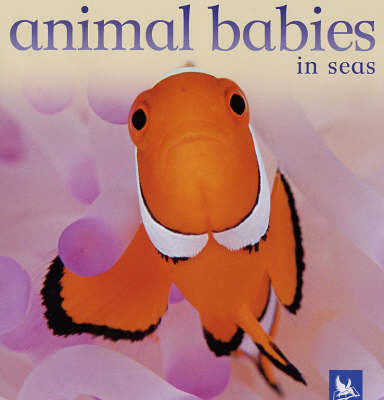 Book cover for Animal Babies in Seas
