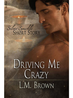 Book cover for Driving Me Crazy