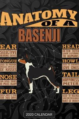 Book cover for Anatomy Of A Basenji