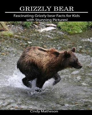 Book cover for Grizzly bear