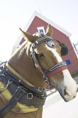 Book cover for Equine Journal Chestnut Carriage Horse