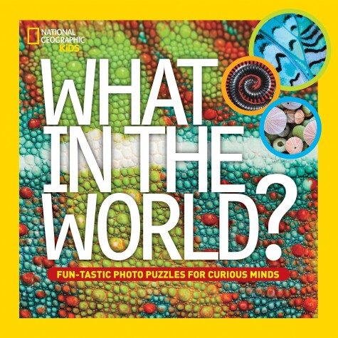 Book cover for What in the World?