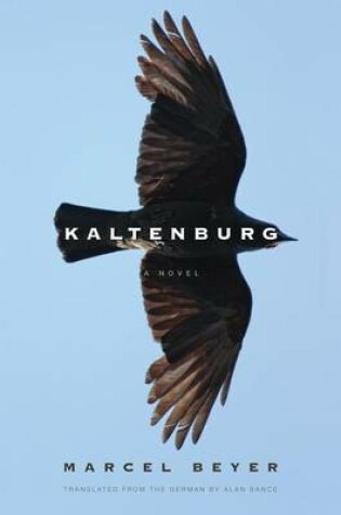 Cover of Kaltenburg