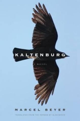 Cover of Kaltenburg