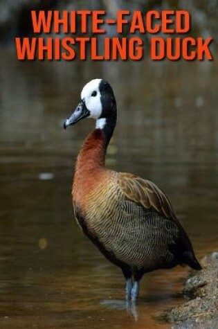 Cover of White-Faced Whistling Duck