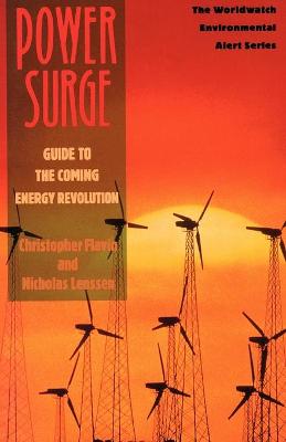 Book cover for Power Surge