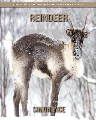 Cover of Reindeer