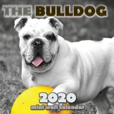 Book cover for The Bulldog 2020 Mini Wall Calendar