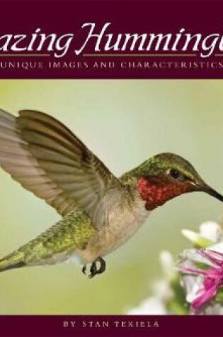 Cover of Amazing Hummingbirds