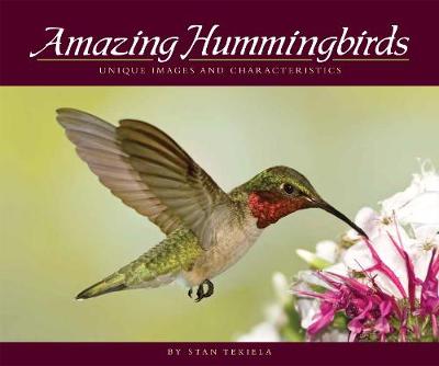 Book cover for Amazing Hummingbirds