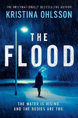 Book cover for The Flood