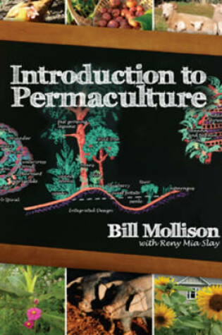 Cover of Introduction to Permaculture