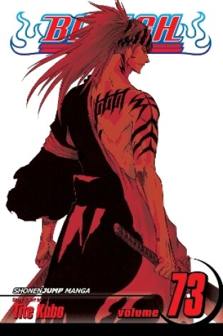 Cover of Bleach, Vol. 73