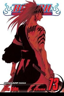 Cover of Bleach, Vol. 73