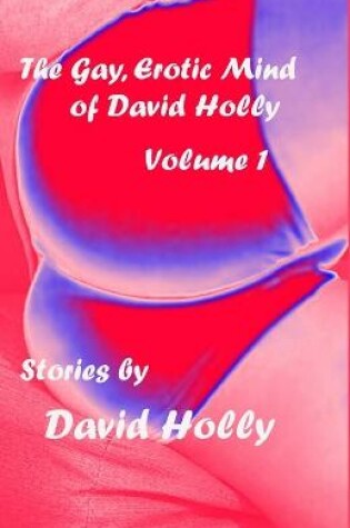 Cover of The Gay, Erotic Mind of David Holly, Volume 1
