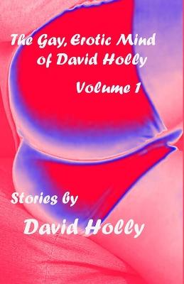 Book cover for The Gay, Erotic Mind of David Holly, Volume 1