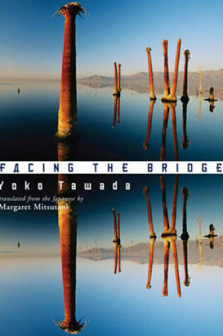 Cover of Facing the Bridge