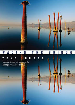 Book cover for Facing the Bridge