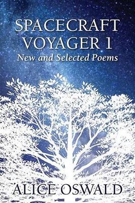 Book cover for Spacecraftt Voyager 1