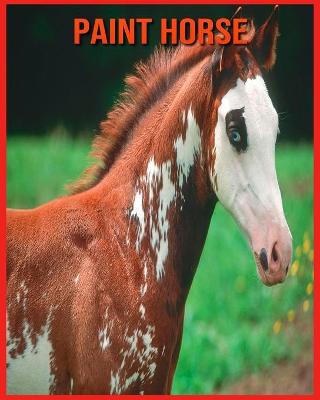 Book cover for Paint Horse