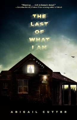 Book cover for The Last of What I Am