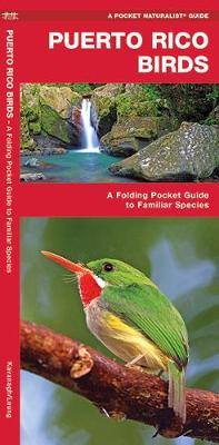 Book cover for Puerto Rico Birds