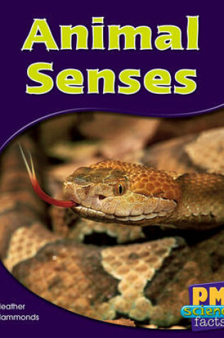 Cover of Animal Senses