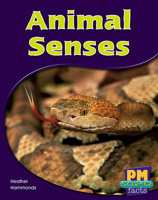 Book cover for Animal Senses