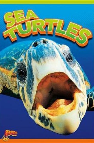 Cover of Sea Turtles