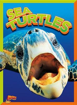 Book cover for Sea Turtles