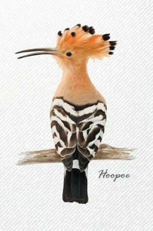 Cover of Hoopoe