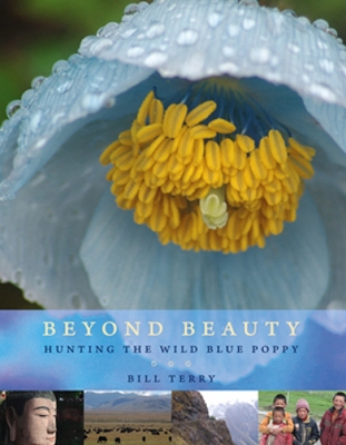 Book cover for Beyond Beauty
