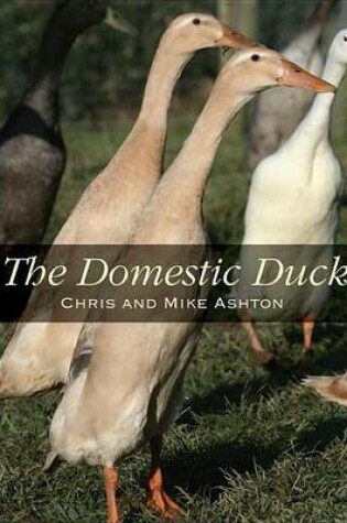 Cover of The Domestic Duck