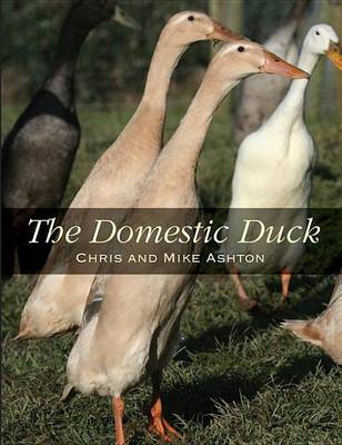 Book cover for The Domestic Duck