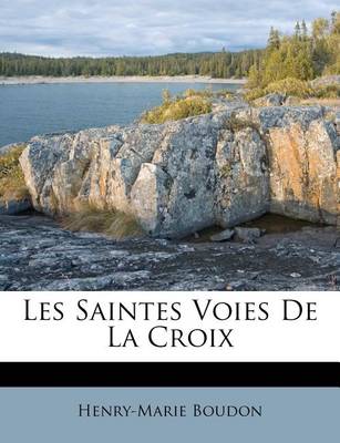 Book cover for Les Saintes Voies De La Croix