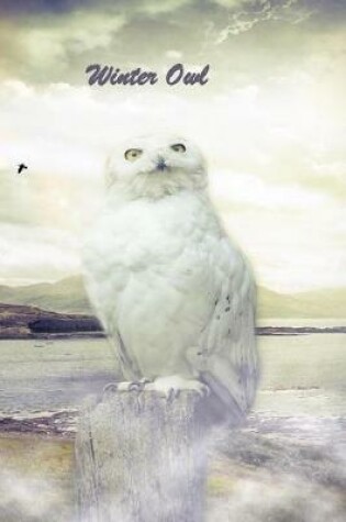 Cover of Winter Owl