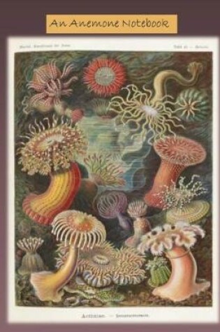 Cover of An Anemone Notebook