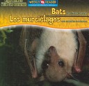 Cover of Night Animals / Animales Nocturnos