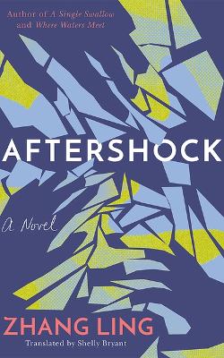 Book cover for Aftershock