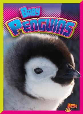 Book cover for Baby Penguins