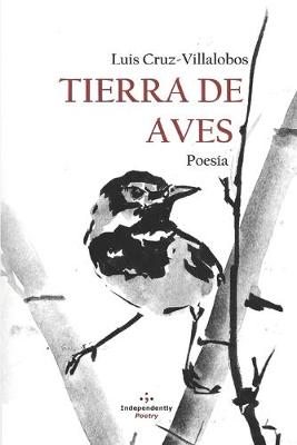 Book cover for Tierra de Aves