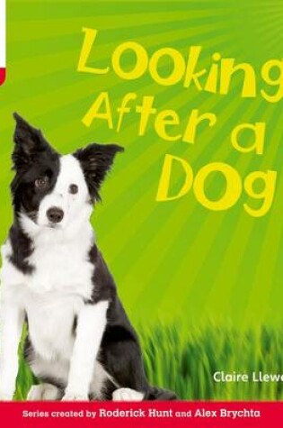 Cover of Oxford Reading Tree: Level 4: Floppy's Phonics Non-Fiction: Looking After a Dog