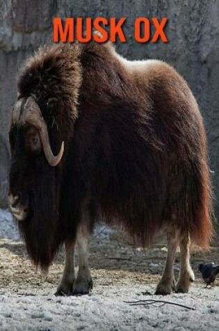 Cover of Musk Ox