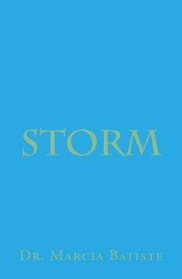 Book cover for Storm