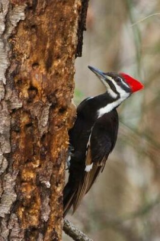 Cover of Pleated Woodpecker Journal