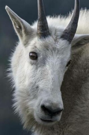 Cover of Mountain Goat Animal Journal